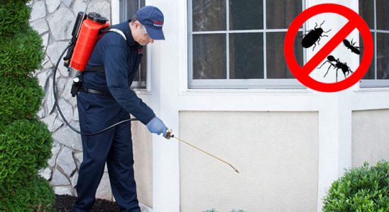 Pehlivanköy Akrep İlaçlama böcek ilaçlama ve haşere kontrolü — ilaclama-tr.com